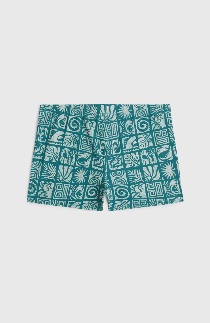 O'Neill Print Racer Badehose | Blue Bricks
