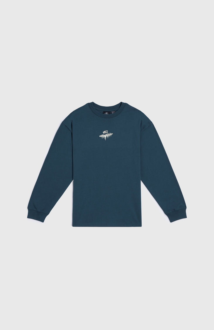 Graphic Langarmshirt | Alma Steel