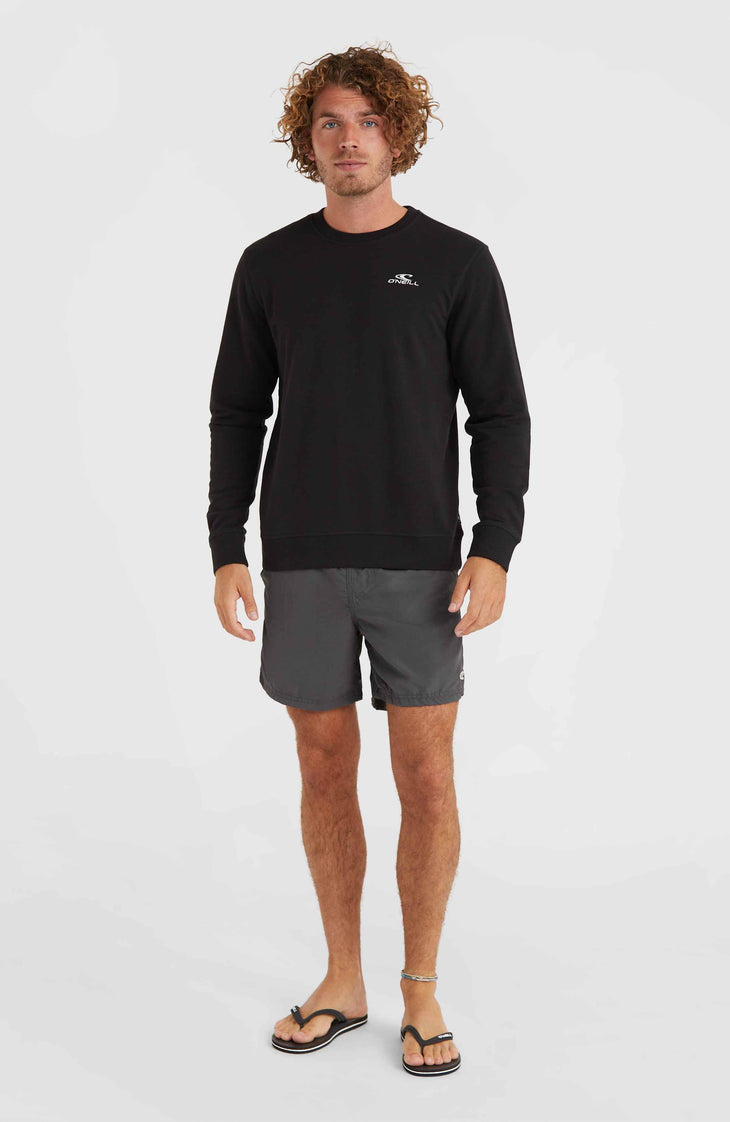 Vert 16'' Badehose | Asphalt