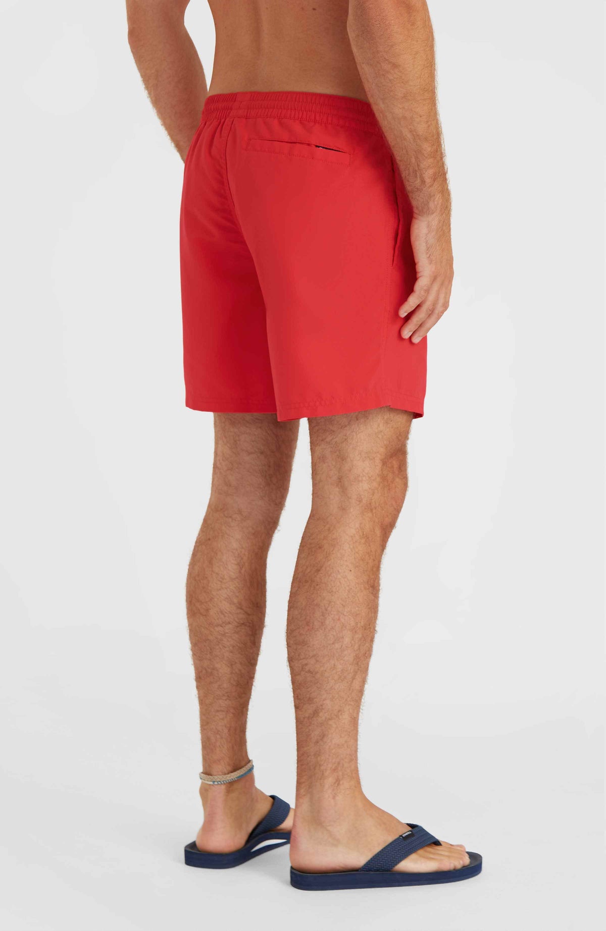 Original Cali 16'' Badehose für Herren, rot, Rückansicht am Model mit hinterer Tasche und elastischem Bund