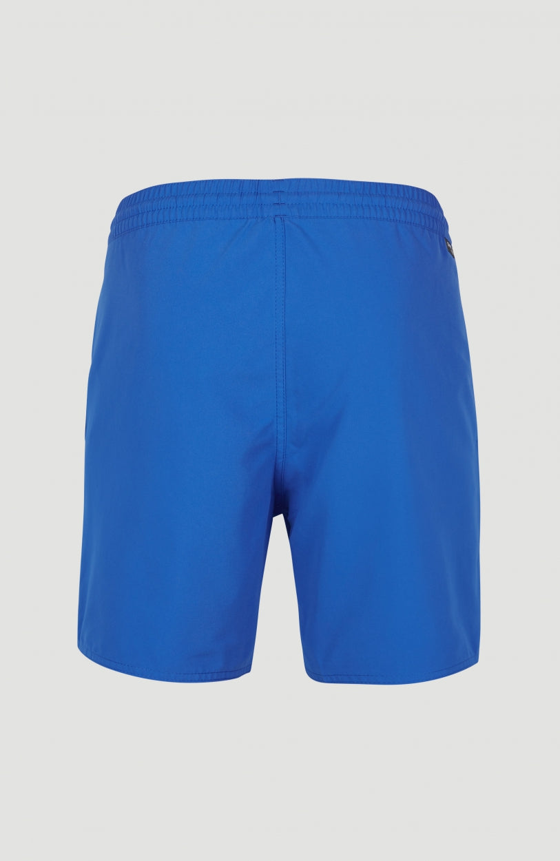 Original Cali 16'' Badehose für Herren, blau, freigestellt von hinten mit elastischem Bund und Mittelnaht