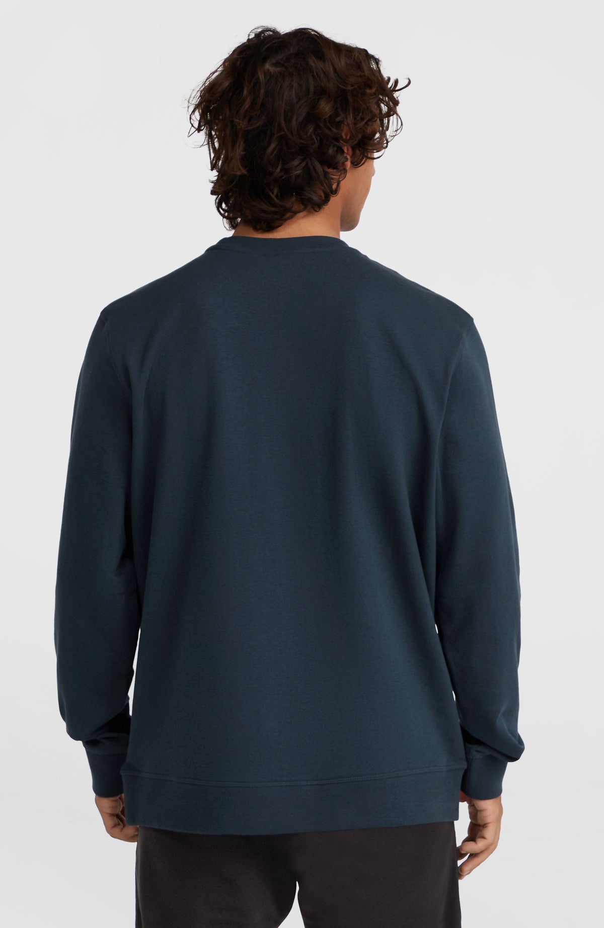 Logo Crew Sweatshirt für Herren, blau mit Logo-Print in Weiß, Rückansicht am Model mit geripptem Saum