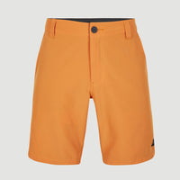 Hybrid Chino-Shorts | Nugget