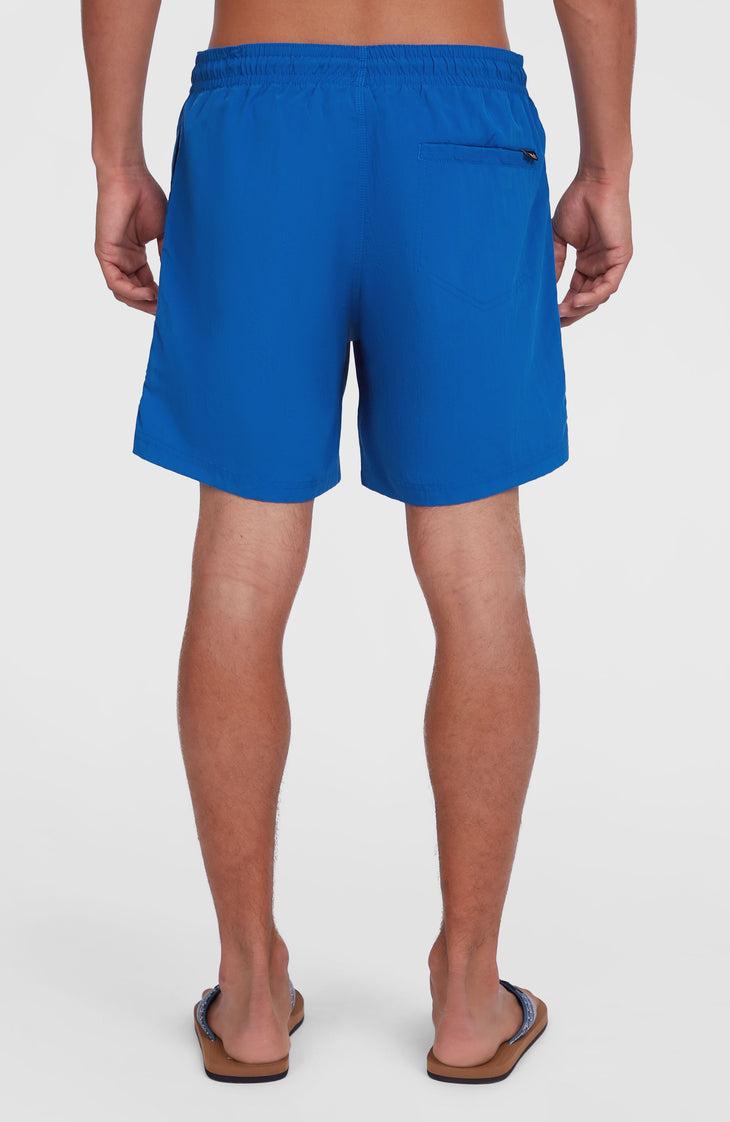 O'Neill Vert 16" Badehose | Victoria Blue