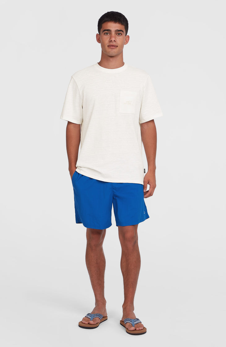 O'Neill Vert 16" Badehose | Victoria Blue