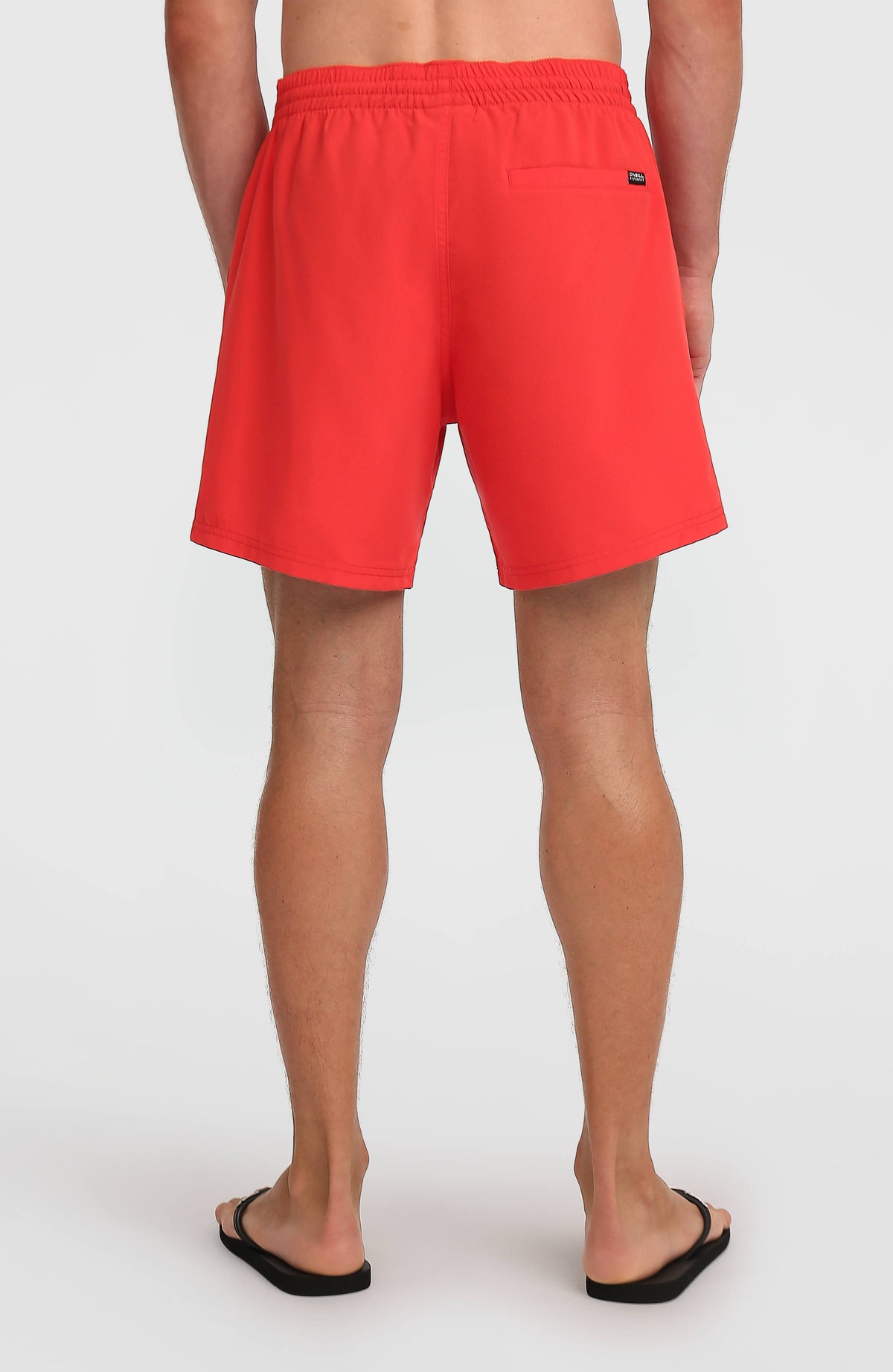 Cali 16" Badehose für Herren, rot, Rückansicht am Model mit eingelassener Gesäßtasche