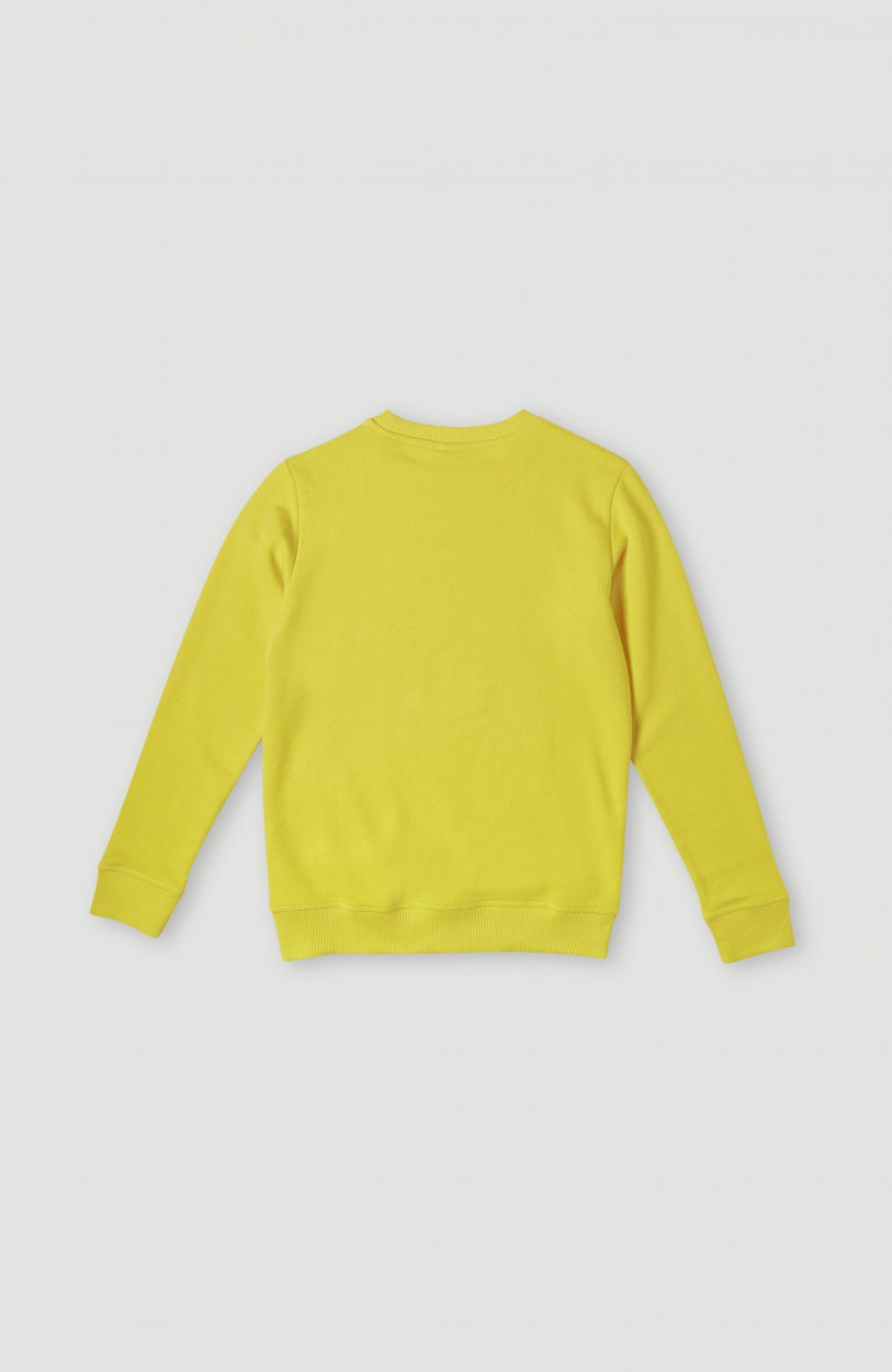O'Neill Logo Crew Sweatshirt | Empire Yellow