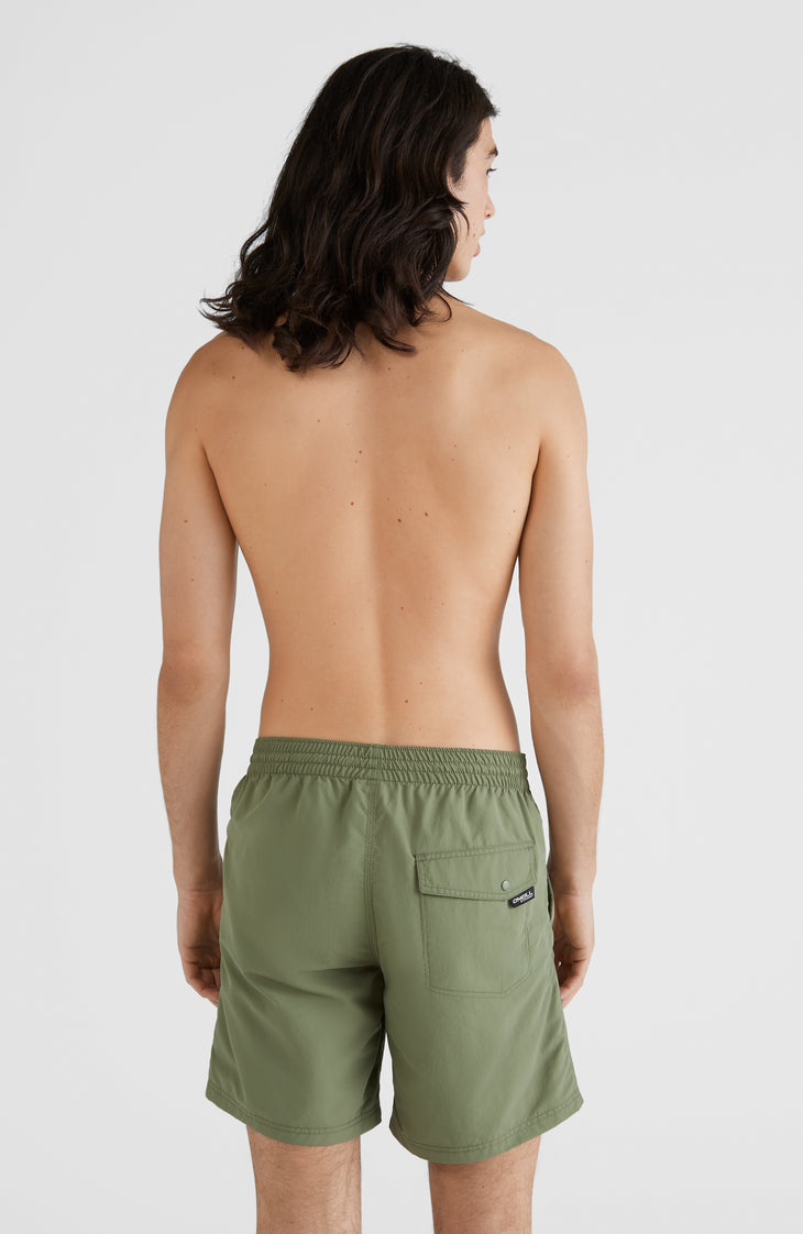 Vert Badehose | Deep Lichen Green