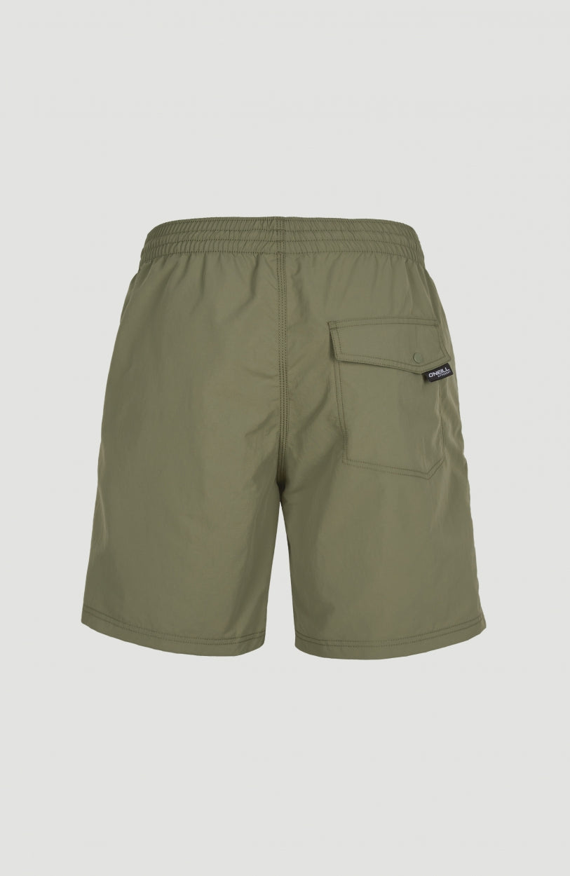 Vert Badehose | Deep Lichen Green