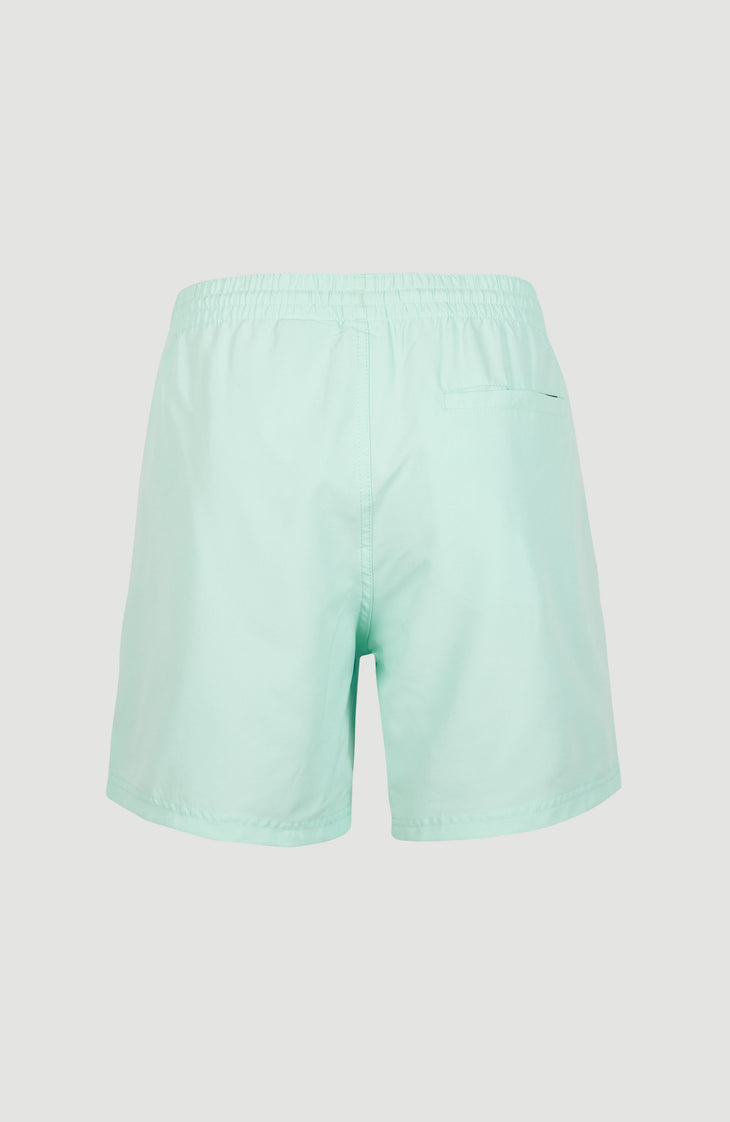 Cali Schwimmhose | Beach Glass