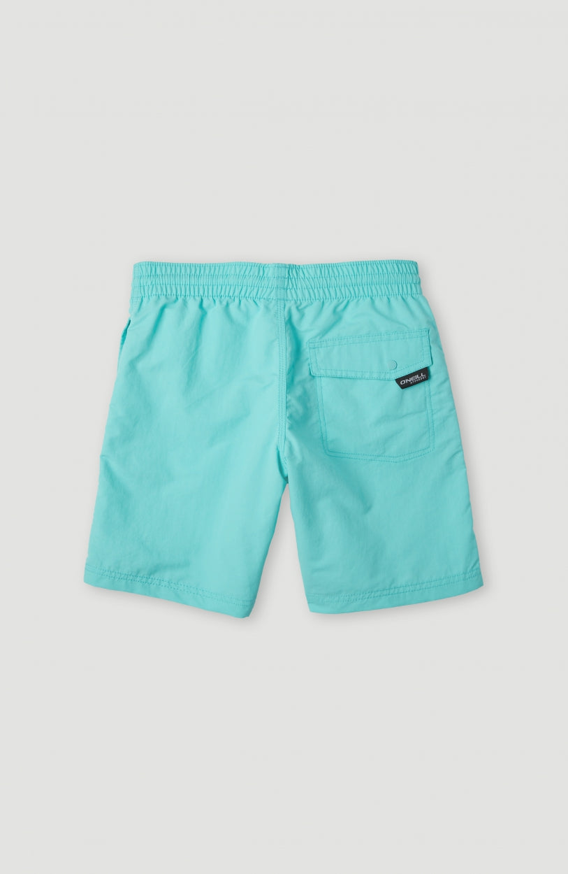 Vert Badehose | Aqua Spalsh