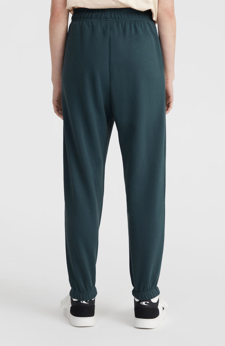 Future Surf Society Jogginghose | Alma Steel