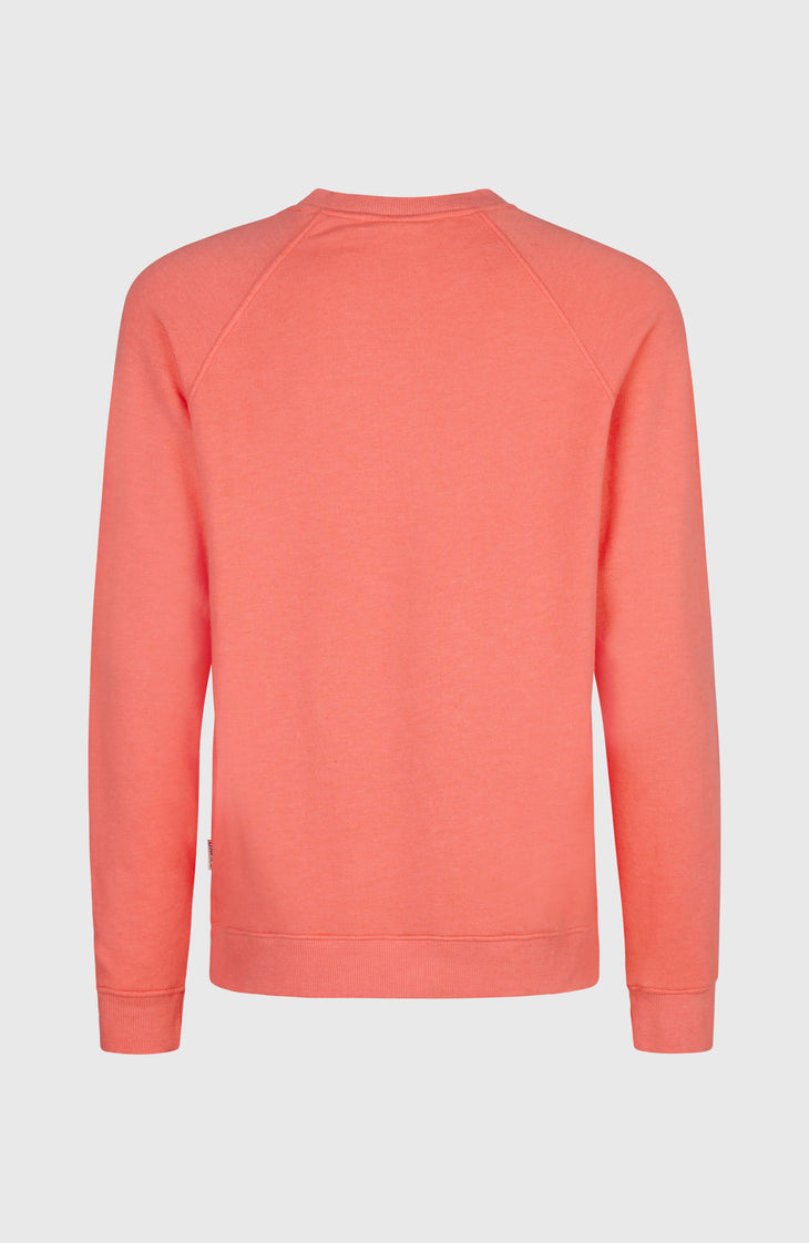 O'Neill Beach Vintage Crew Sweatshirt | Rose Parade