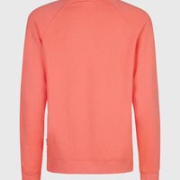 O'Neill Beach Vintage Crew Sweatshirt | Rose Parade