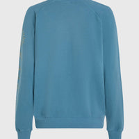 Beach Vintage Crew Sweatshirt | Copen Blue