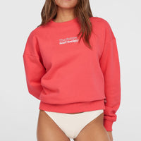 Future Surf Crew Sweatshirt | Froly