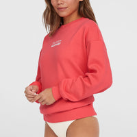 Future Surf Crew Sweatshirt | Froly