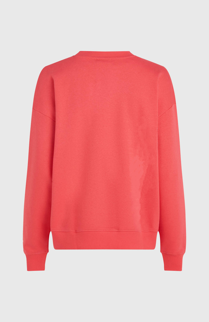 Future Surf Crew Sweatshirt | Froly