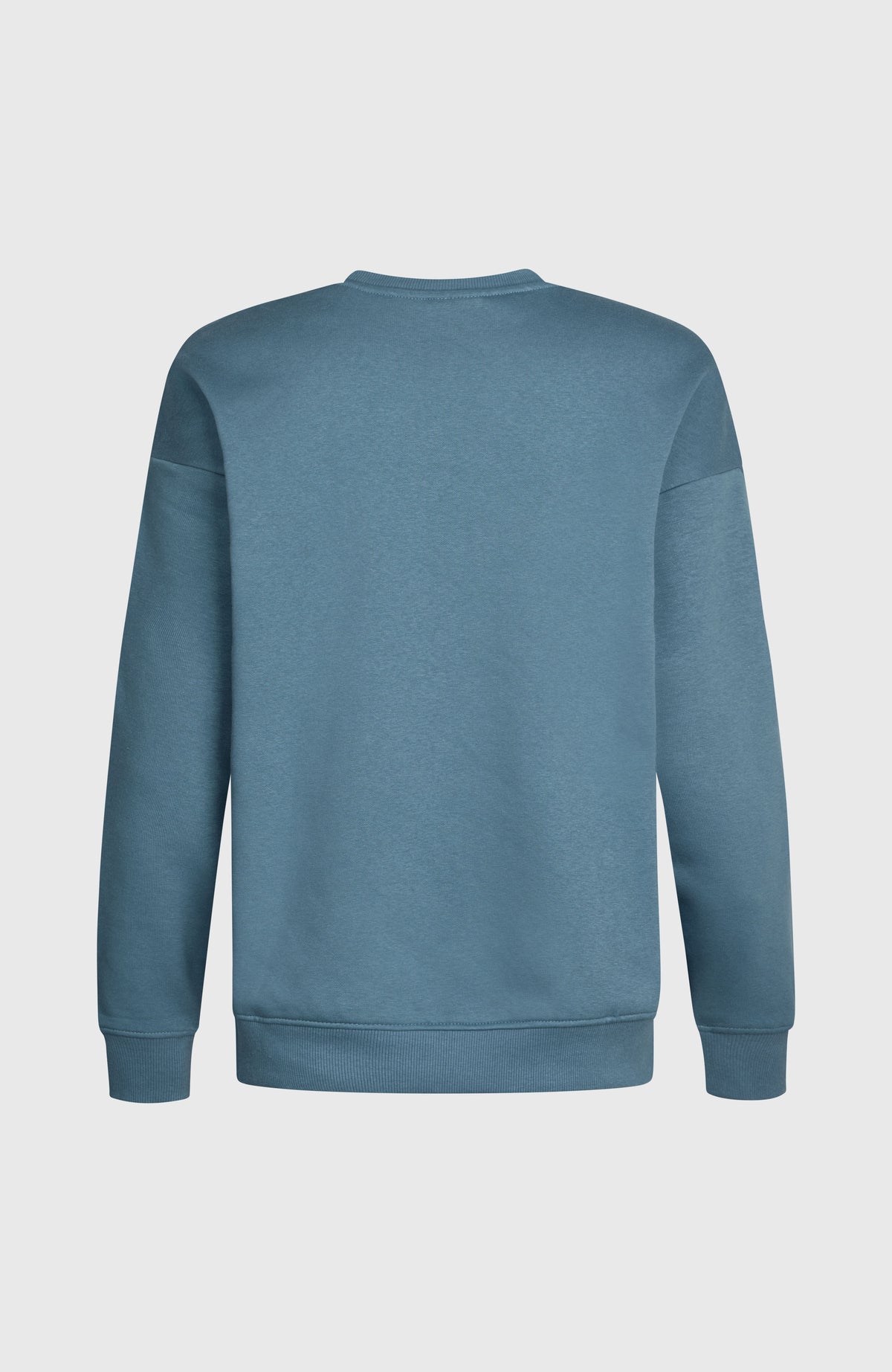 THE FUTURE SURF SOCIETY CREW Sweatshirt für Damen, blau, freigestellt von hinten, gerippter Saum