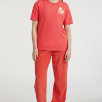 Allora Graphic T-Shirt | Red Orcher