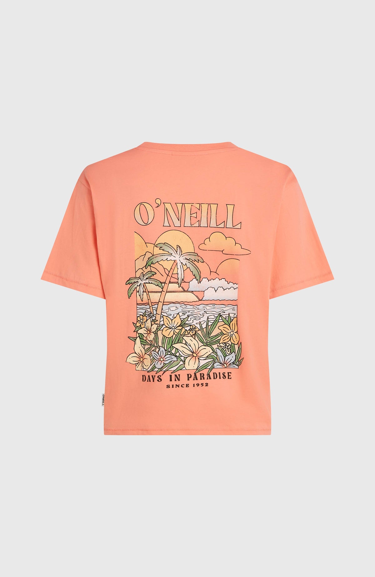 Boxy Back-Print T-Shirt für Damen, orange, freigestellt von hinten mit großem buntem Rückenprint
