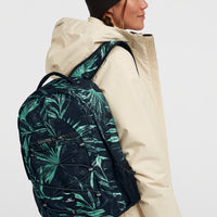 Kleiner Boarder Rucksack | Blue Faye