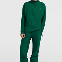FWC'Cruz Fleecepullover | Emerald Envy