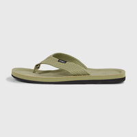 Chad Sandalen | Avery Fern