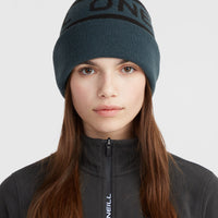 Powder Beanie | Alma Steel Colour Block