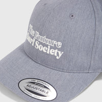 Future Surf Society Cap | Silver Melee