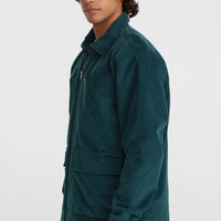 Surf Heroes Cord-Jacke | Alma Steel