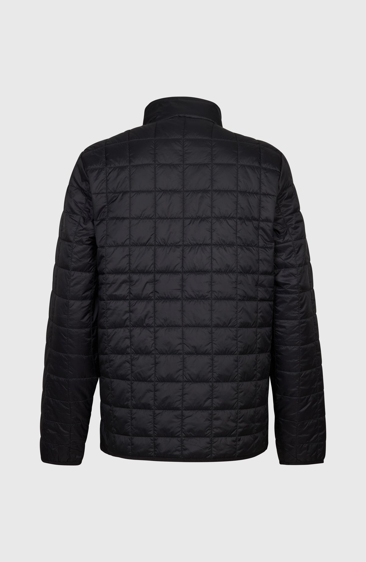 Must-Have Isolationsjacke für Herren, schwarz, freigestellt von hinten mit gesteppter Rückenpartie