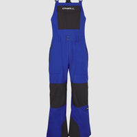 Shred Bib Skihose | Surf the web Blue