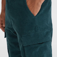 Surf Heroes Cord-Cargohose | Alma Steel