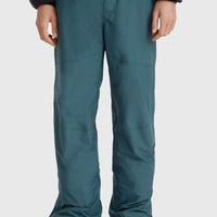 Hammer Regular Skihose | Alma Steel