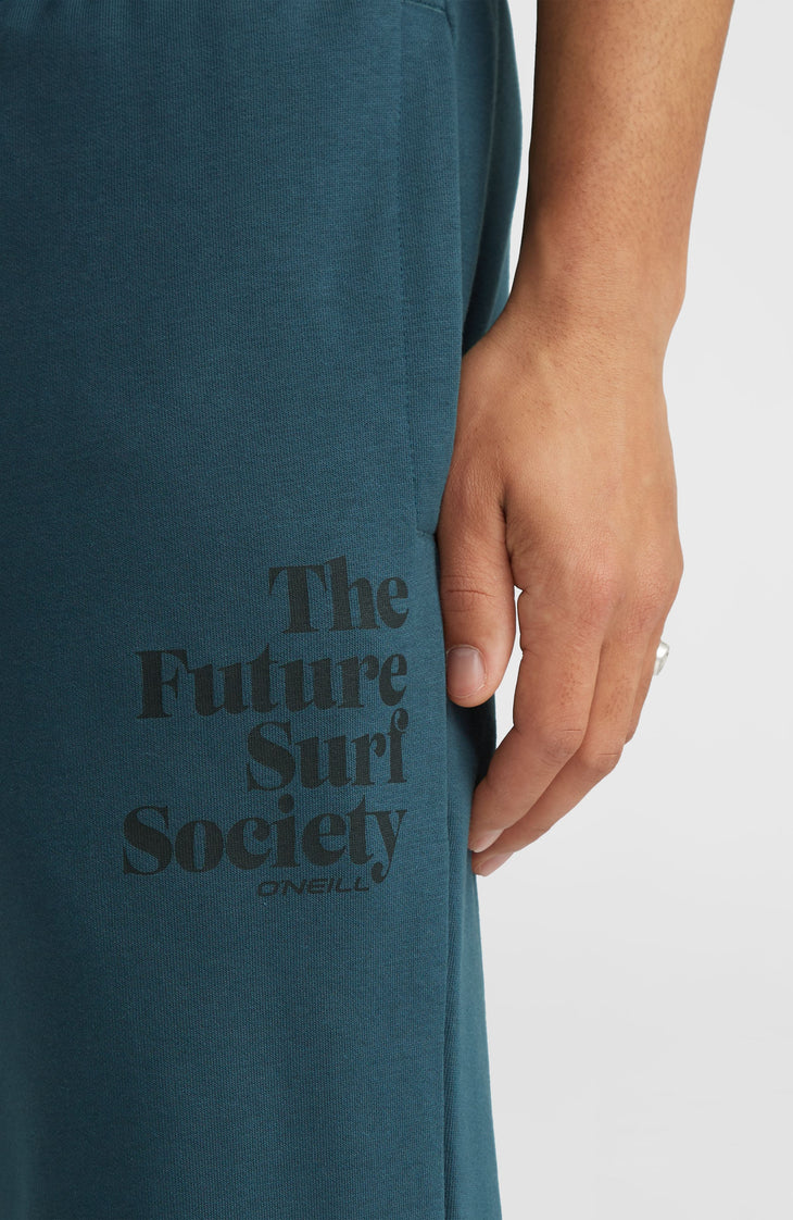 Future Surf Society Jogginghose | Alma Steel