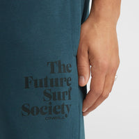 Future Surf Society Jogginghose | Alma Steel