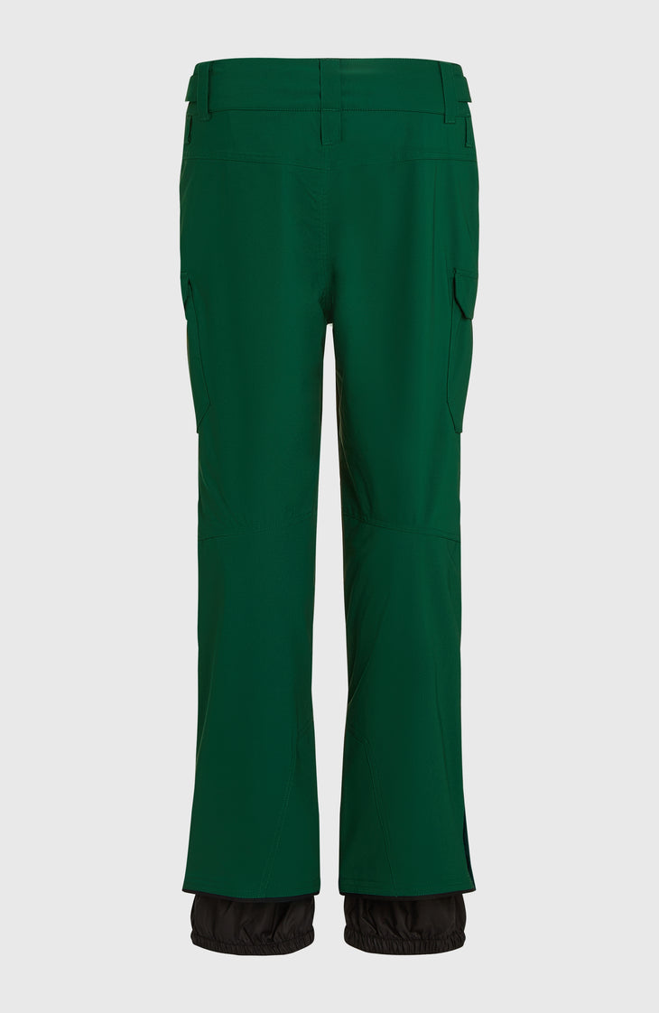 FWC'Peak Cargo-Skihose | Emerald Envy