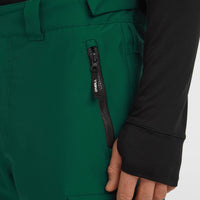 FWC'Cruz Cargo-Skihose | Emerald Envy