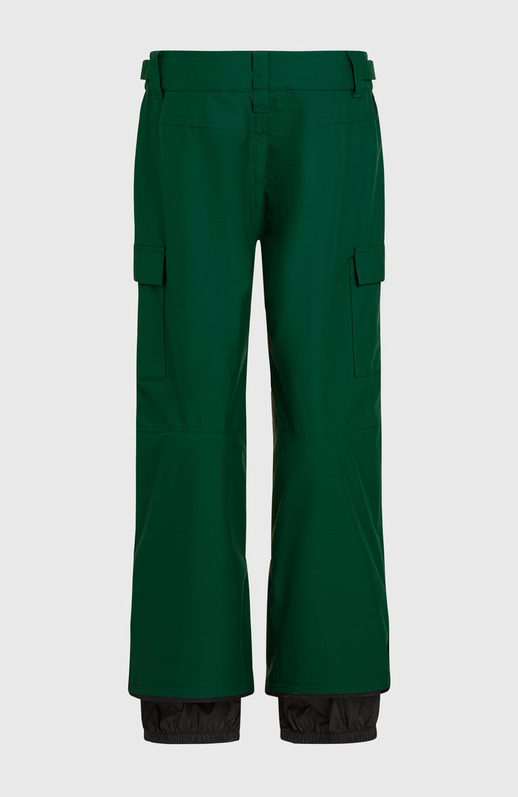 FWC'Cruz Cargo-Skihose | Emerald Envy