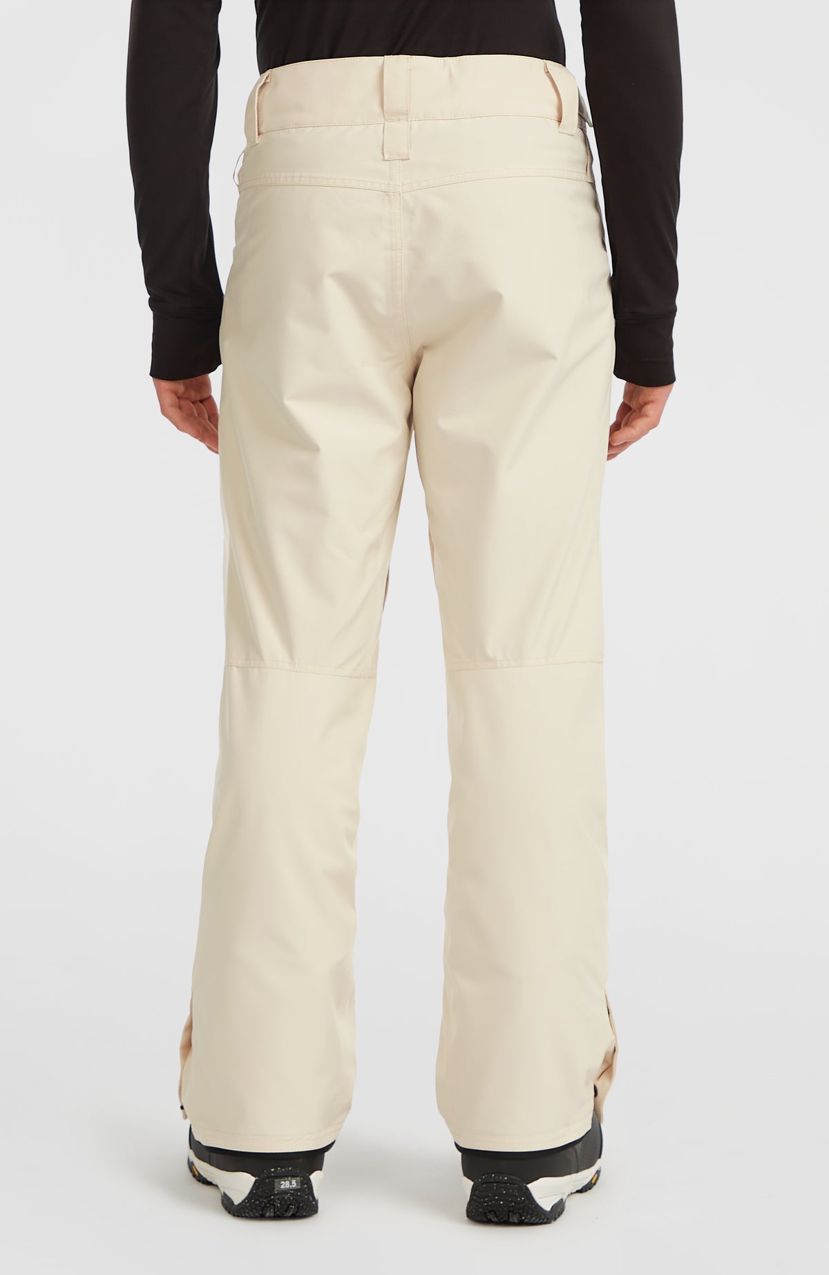 FWC'Cruz Skihose für Herren, beige, Rückansicht, getragen am Model