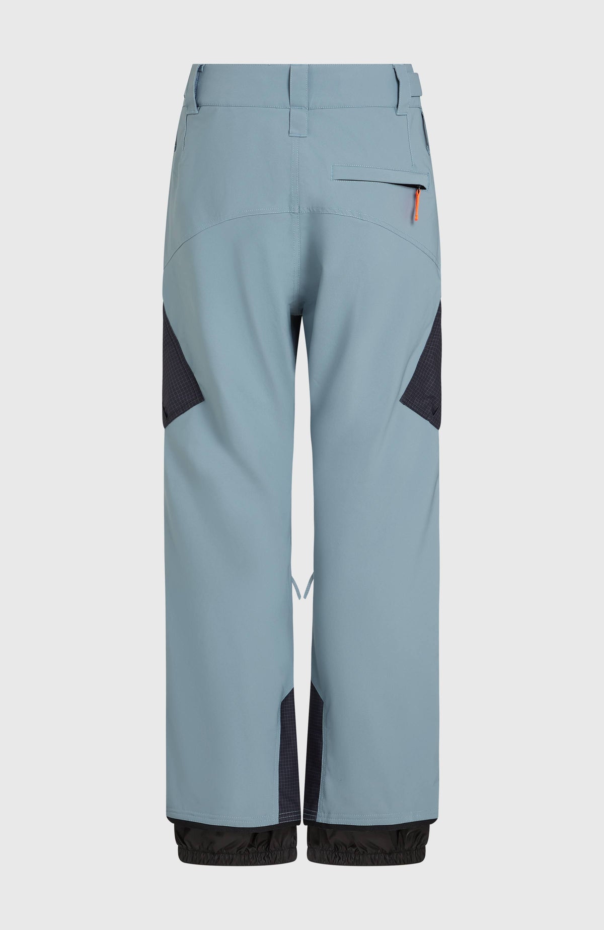 FWC'Peak Cargo-Skihose für Herren, blau, freigestellt von hinten mit Gesäßtasche