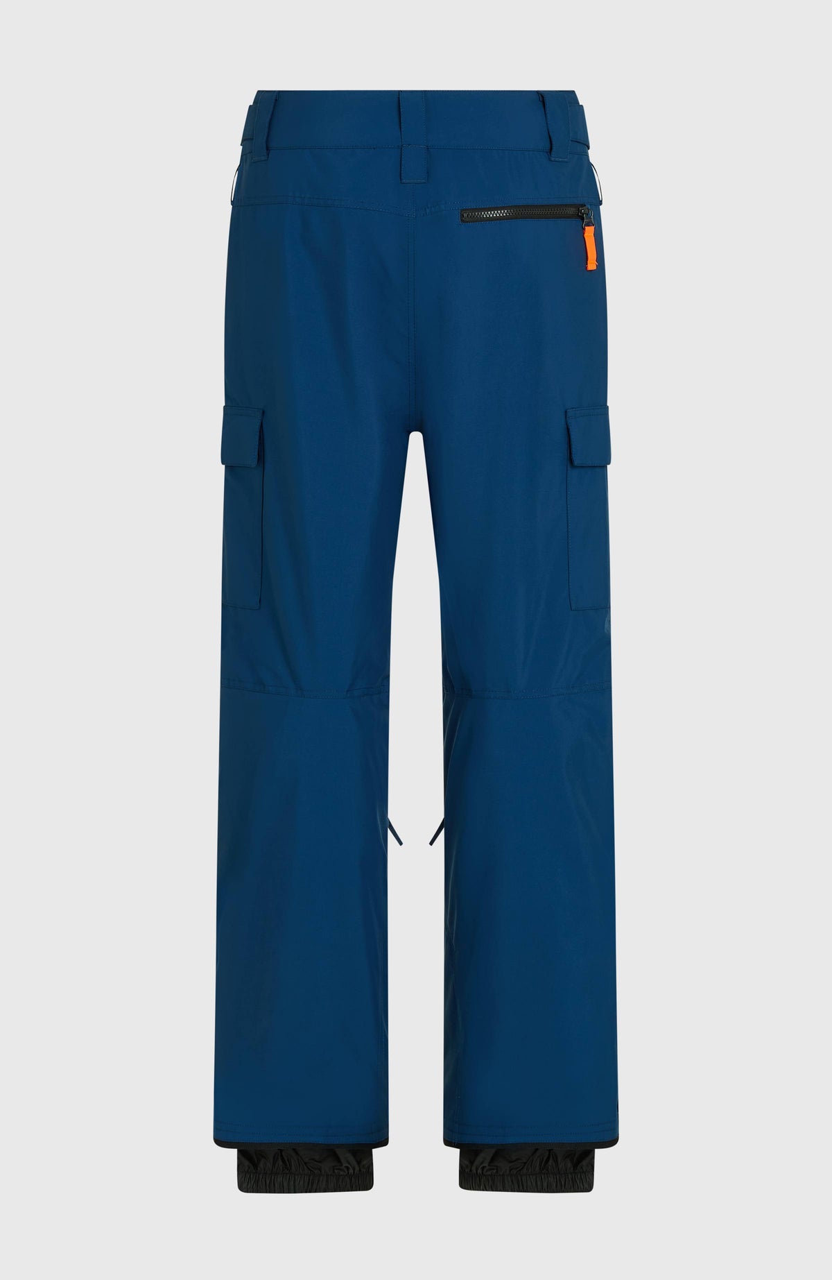 FWC'Cruz Cargo-Skihose für Herren, blau, freigestellt von hinten