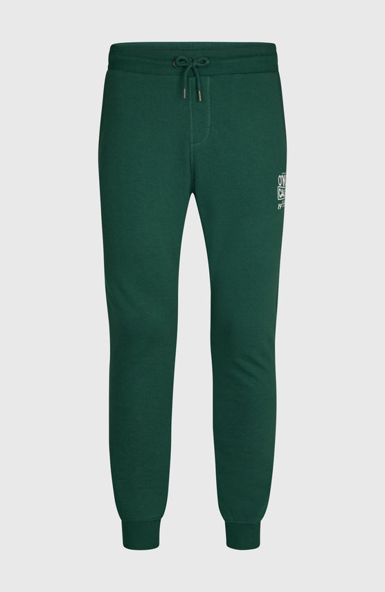 O'NEILL CALI SWEATPANTS | Emerald Envy