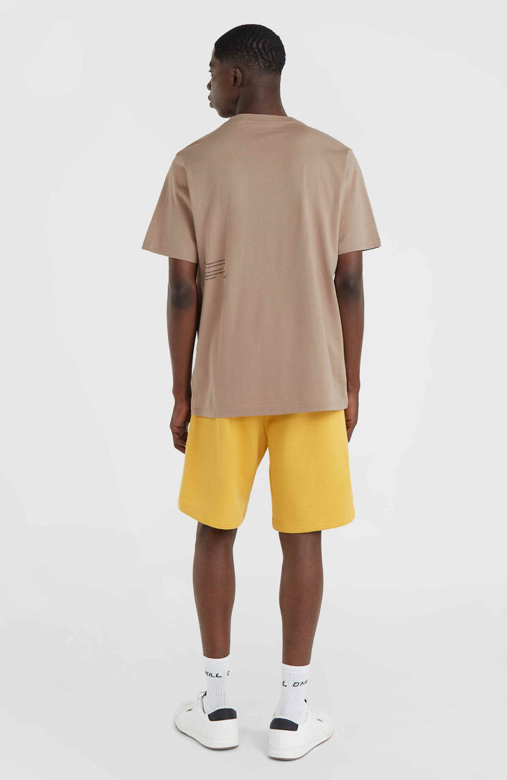 Future Surf Society Shorts | Golden Haze