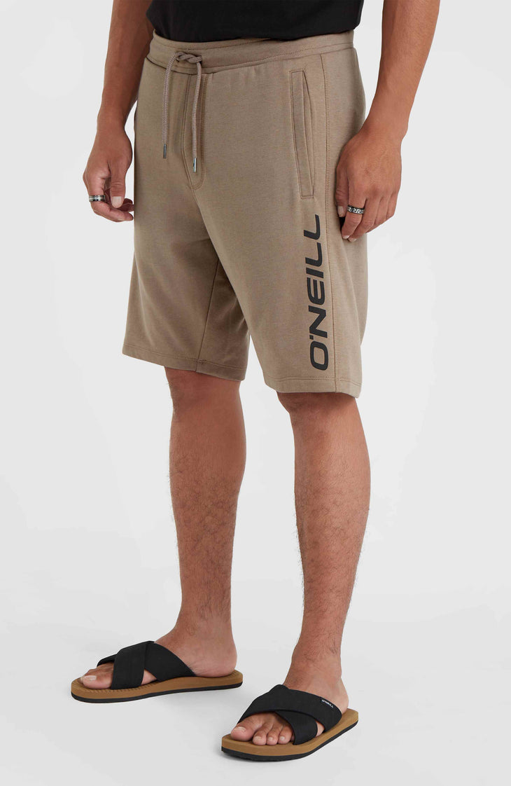 O'Neill Logo Sweatshorts | Pumpkin Smoke