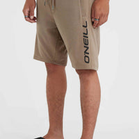 O'Neill Logo Sweatshorts | Pumpkin Smoke