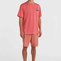 O'Neill Hybrid Chino-Shorts | Red Orcher