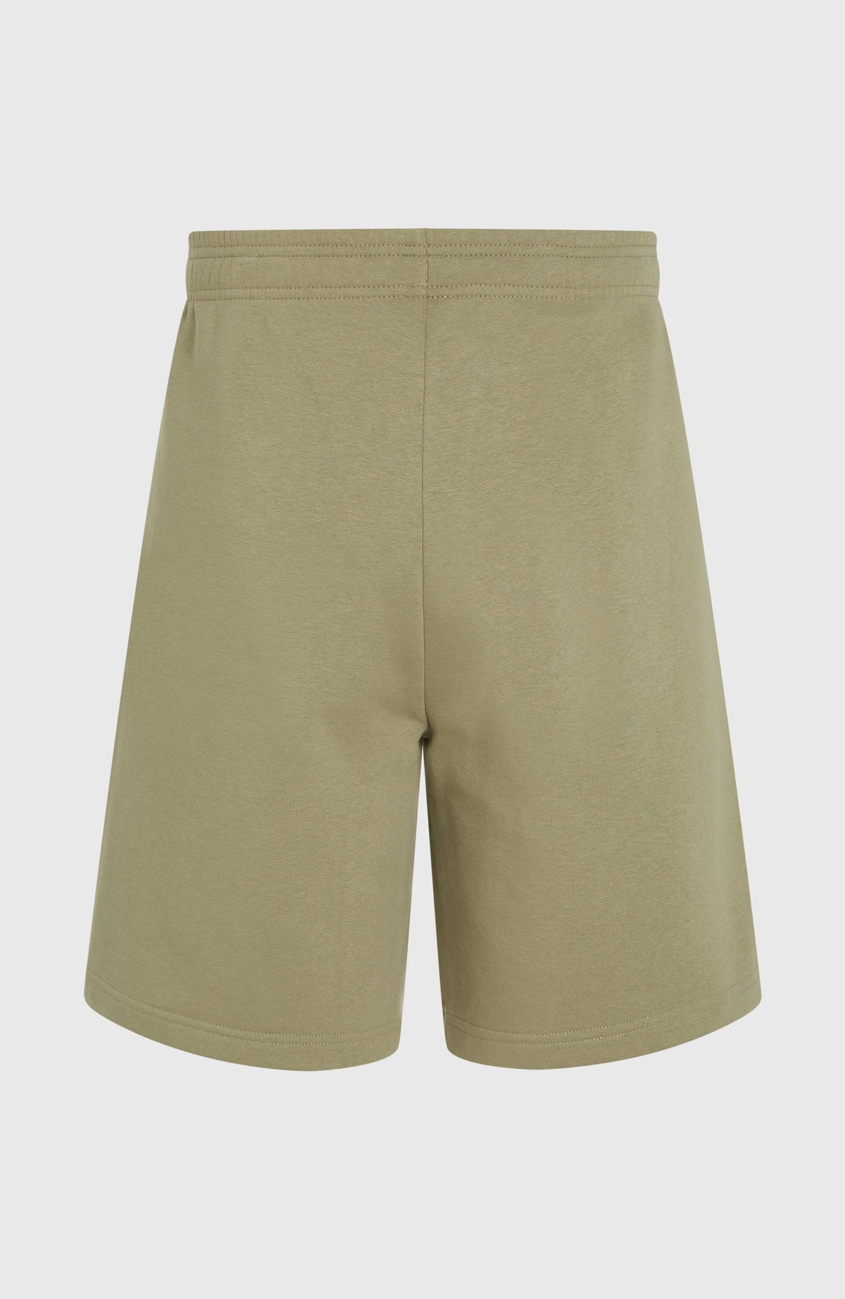 Future Surf Society Shorts für Herren, grün, freigestellt von hinten, elastischer Bund