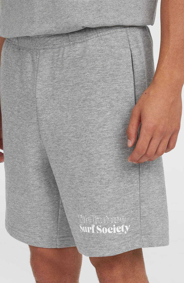 Future Surf Society Shorts | Silver Melee